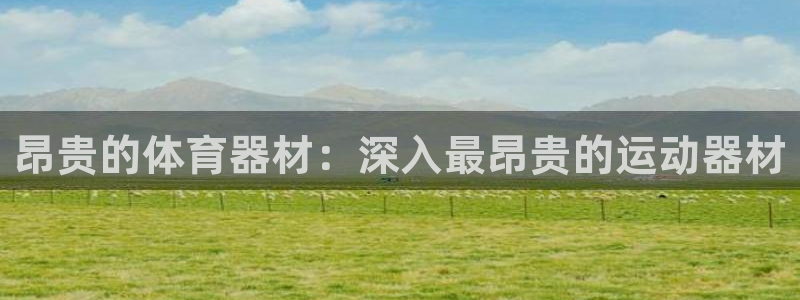 极悦官网登录入口网址：昂贵的体育器材：深入最昂贵的运