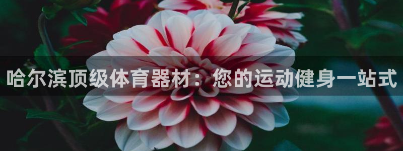 极悦娱乐挂机赚钱是真的吗安全吗：哈尔滨顶级体育器材：
