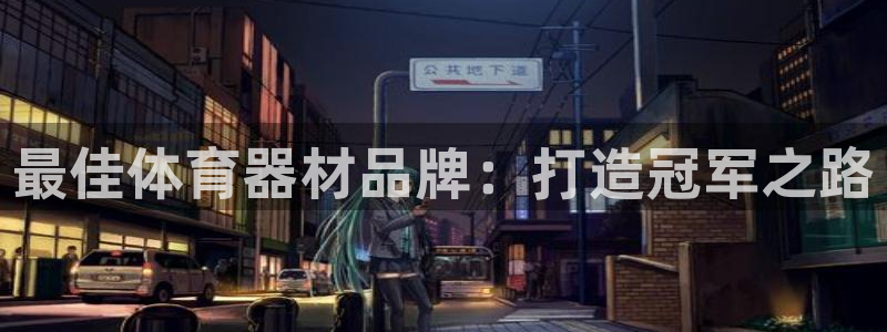极悦平台注册官方网站下载安卓版：最佳体育器材品牌：打