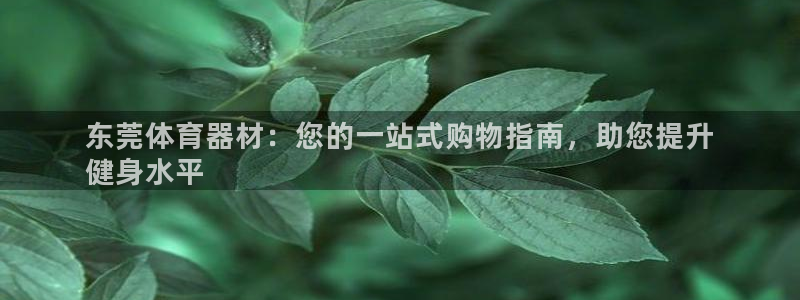 极悦娱乐登录拒绝访问怎么办：东莞体育器材：您的一站式