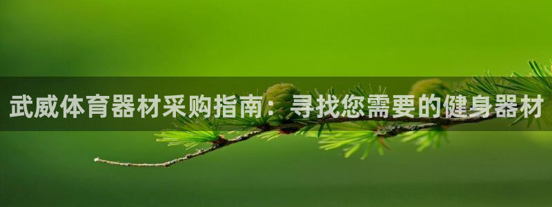极悦平台登录方式怎么改：武威体育器材采购指南：寻找您
