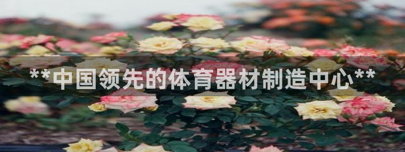 极悦娱乐代理多少钱一年：**中国领先的体育器材制造中