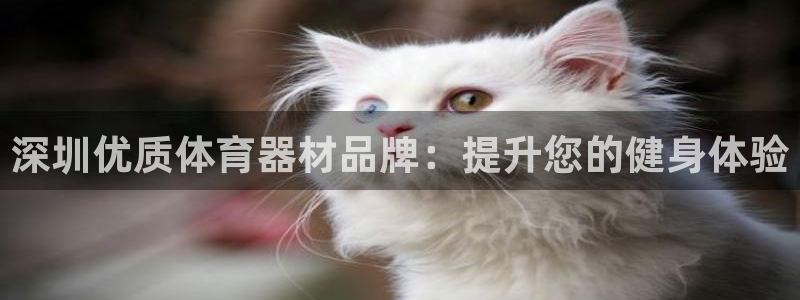 极悦娱乐官网客服联系方式查询：深圳优质体育器材品牌：