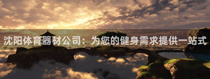 极悦娱乐的背景和历史背景分析：沈阳体育器材公司：为您