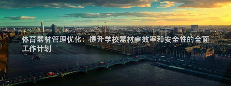 极悦平台有风险吗：体育器材管理优化：提升学校器材室效