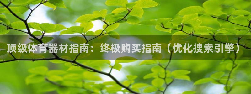 极悦娱乐贴吧：顶级体育器材指南：终极购买指南（优化搜