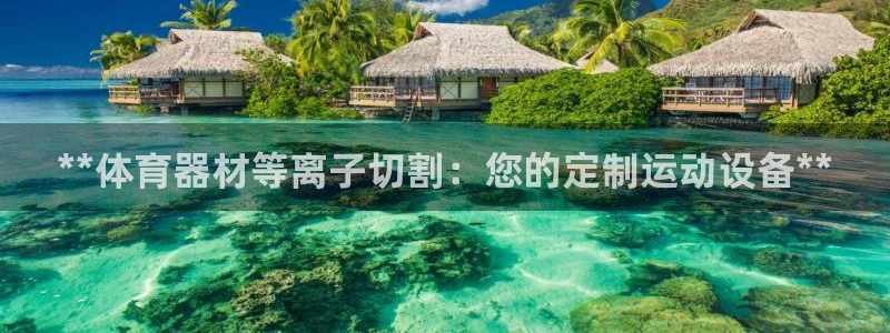 极悦娱乐app官方版本更新内容下载：**体育器材等离