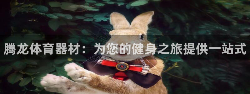 极悦娱乐的最新版本更新内容：腾龙体育器材：为您的健身