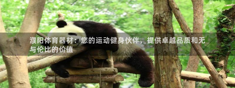 极悦平台安全吗可靠吗：濮阳体育器材：您的运动健身伙伴