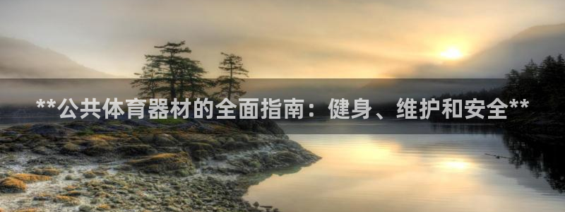 极悦平台代理怎么赚钱：**公共体育器材的全面指南：健