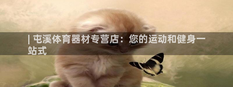 极悦平台注册太7.0.2.4好用吗：| 屯溪体育器材