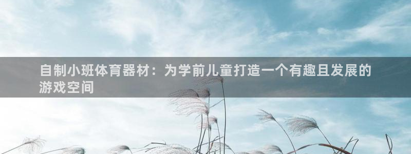 极悦平台登录最新版本更新内容怎么删除：自制小班体育器