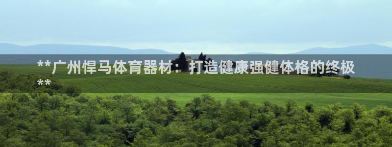 极悦平台用户评价在哪里看：**广州悍马体育器材：打造