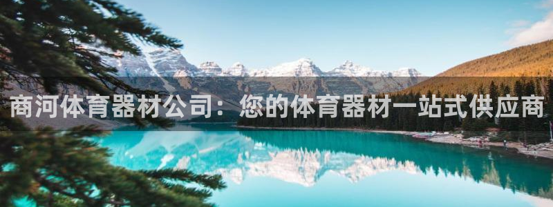 极悦平台注册官方网站下载安装手机版：商河体育器材公司
