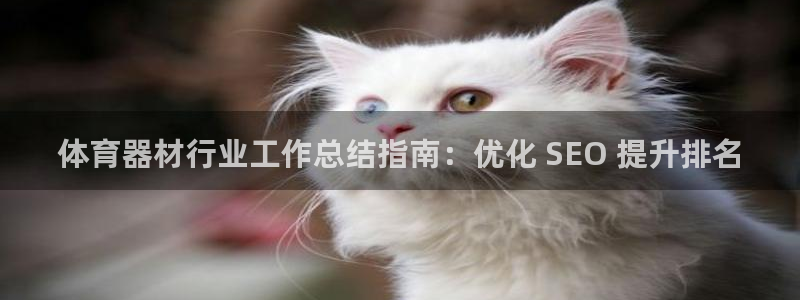 极悦平台登录入口注册账号：体育器材行业工作总结指南：