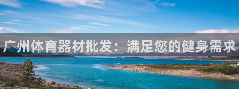 极悦平台注册申请流程详解：广州体育器材批发：满足您的