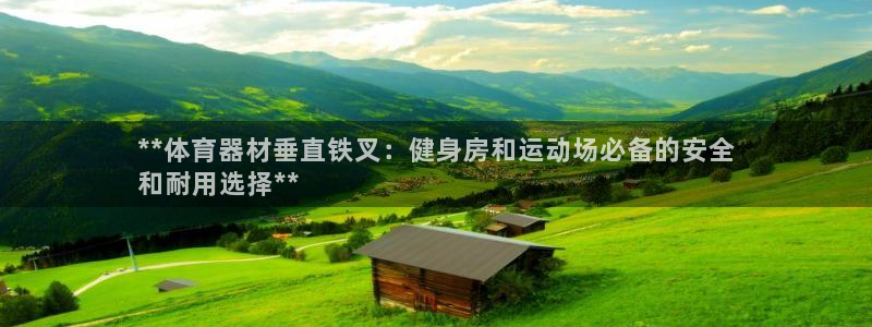 极悦平台注册用户名格式错误：**体育器材垂直铁叉：健