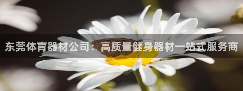 极悦平台登录入口注册不了：东莞体育器材公司：高质量健