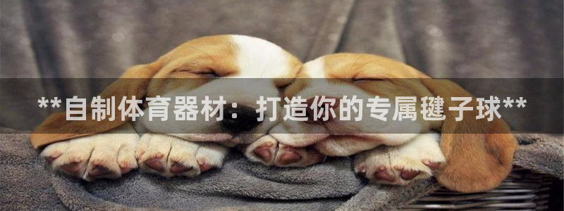 极悦平台有风险吗安全吗：**自制体育器材：打造你的专