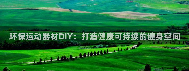 极悦平台app安全吗可靠吗：环保运动器材DIY：打造