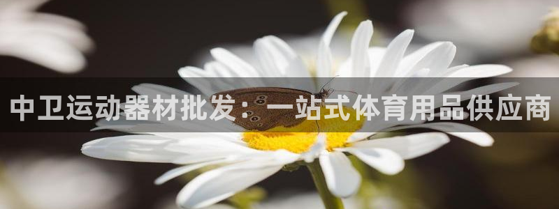 无锡极悦科技有限公司：中卫运动器材批发：一站式体育用
