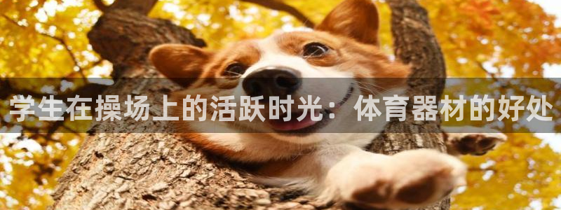 极悦平台方7O777：学生在操场上的活跃时光：体育器