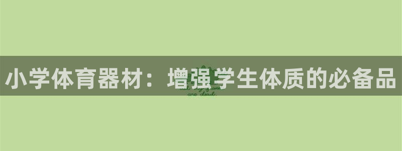 极悦平台官网登录：小学体育器材：增强学生体质的必备品