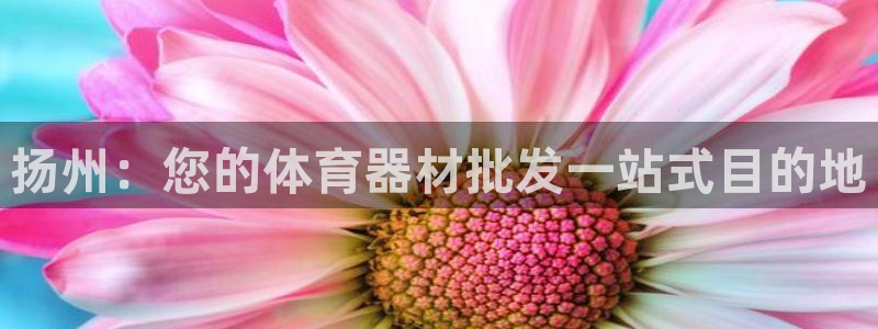极悦娱乐登录拒绝访问怎么办：扬州：您的体育器材批发一
