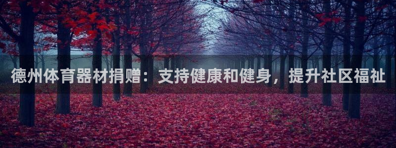 极悦平台注册用户名格式错误：德州体育器材捐赠：支持健