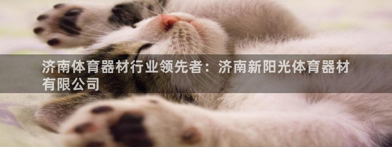 极悦官网入口登录网址：济南体育器材行业领先者：济南新