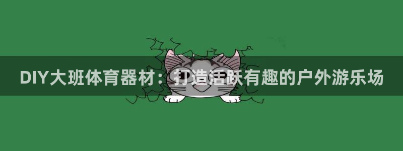 极悦平台用户评价：DIY大班体育器材：打造活跃有趣的