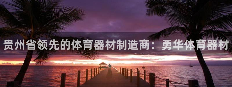 极悦平台注册申请流程详解图片：贵州省领先的体育器材制