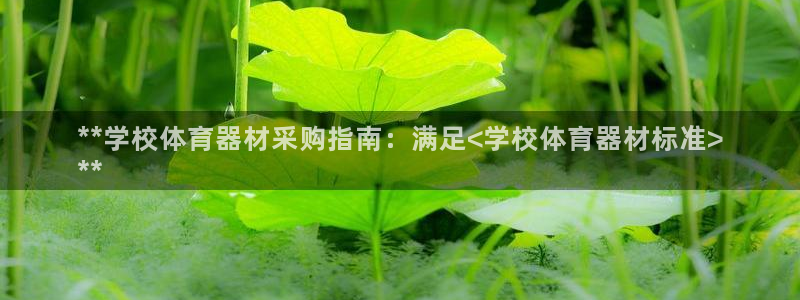 极悦平台注册用户名验证失败：**学校体育器材采购指南
