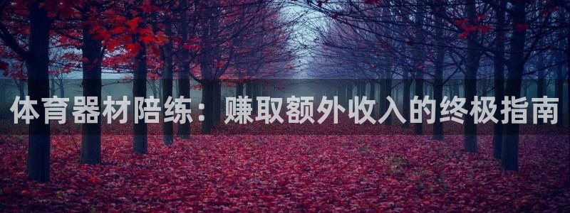 极悦官网首页登录入口下载：体育器材陪练：赚取额外收入