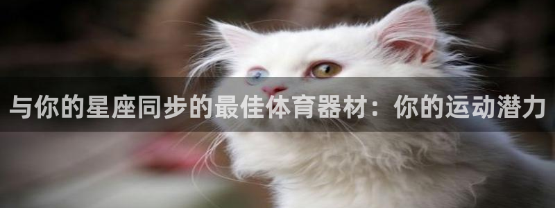 极悦平台是干什么的公司：与你的星座同步的最佳体育器材