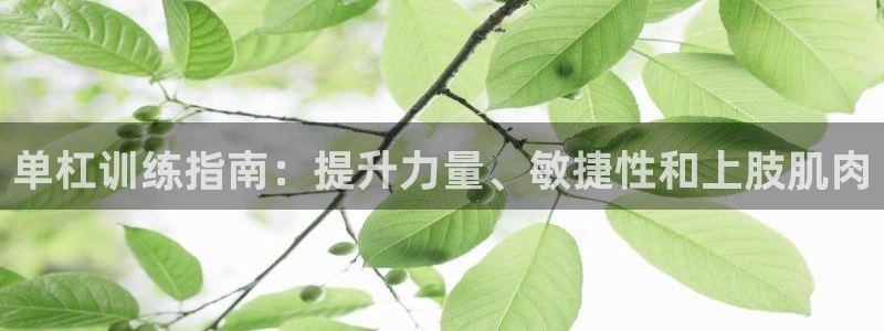 极悦平台登录不进去怎么回事：单杠训练指南：提升力量、