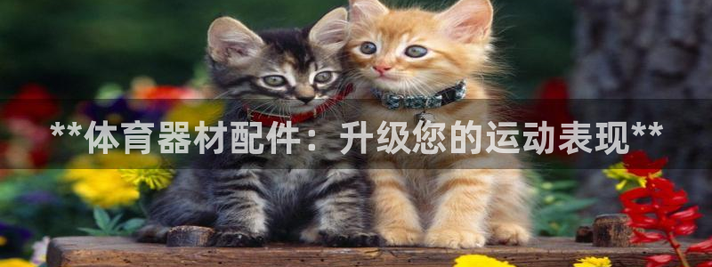 极悦娱乐股东：**体育器材配件：升级您的运动表现**