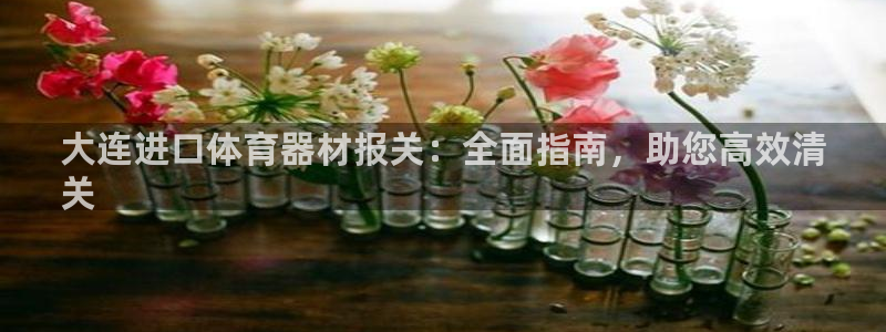 极悦平台有风险吗安全吗：大连进口体育器材报关：全面指