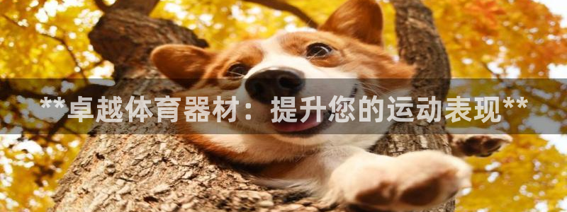 极悦平台注册登录失败：**卓越体育器材：提升您的运动