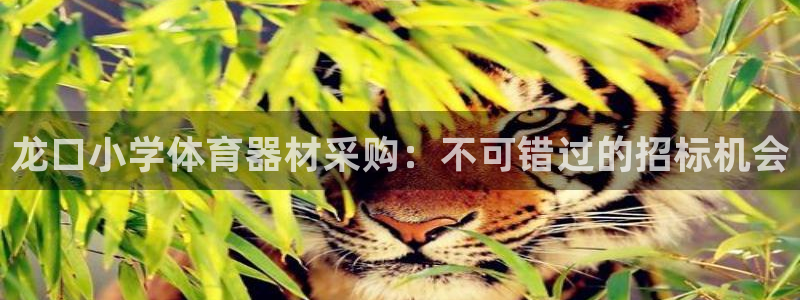 极悦平台注册官方网站下载：龙口小学体育器材采购：不可