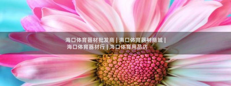 极悦娱乐：海口体育器材批发商 | 海口体育器材商城 