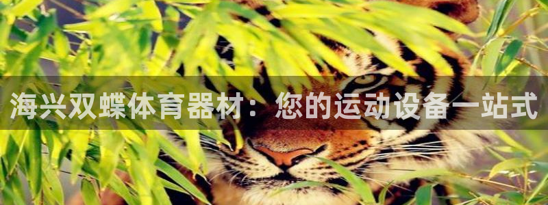 极悦平台官方网站登录入口：海兴双蝶体育器材：您的运动
