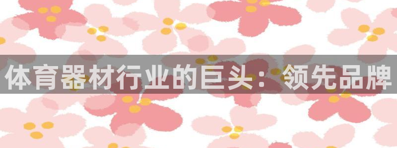 极悦平台注册用户名验证不了：体育器材行业的巨头：领先