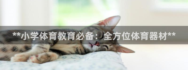 极悦娱乐代理多少钱：**小学体育教育必备：全方位体育
