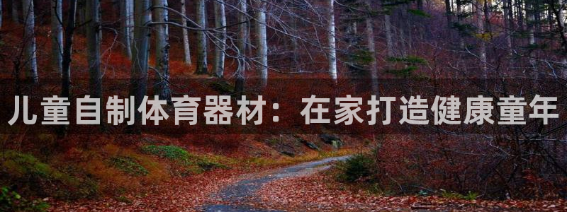 极悦娱乐会被骗吗知乎文章：儿童自制体育器材：在家打造