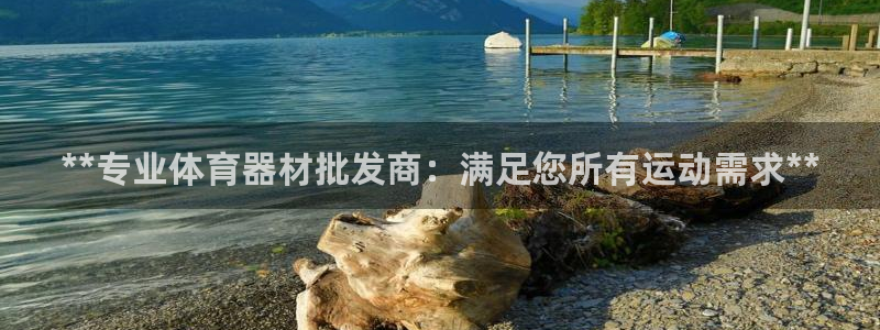 极悦官网旗舰店：**专业体育器材批发商：满足您所有运