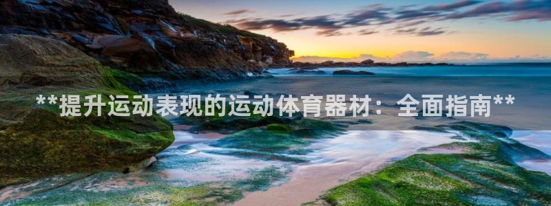 极悦平台方7O777：**提升运动表现的运动体育器材