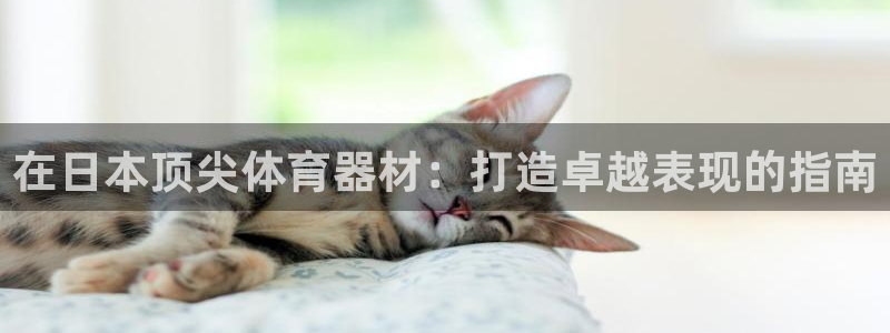 极悦娱乐的背景和历史背景介绍：在日本顶尖体育器材：打
