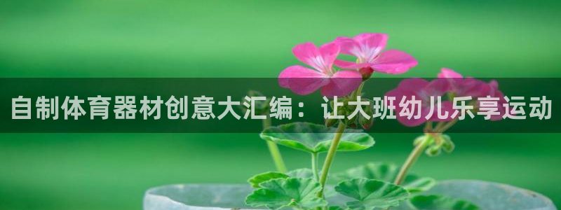 极悦娱乐负责人是谁：自制体育器材创意大汇编：让大班幼