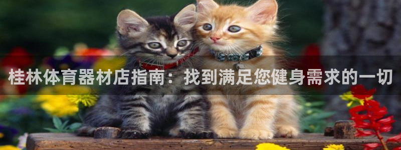 极悦平台注册官方网站下载安卓手机：桂林体育器材店指南